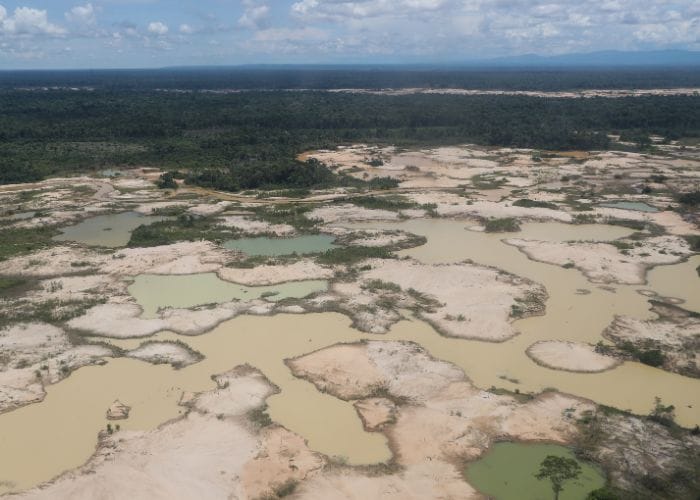 El 73% de la minería de oro de aluvión es ilegal